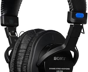 Best Headsets for Large Heads (2026 Build)