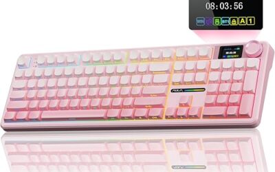 Best Keyboards with OLED Display (2026 Build)