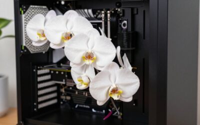 Best Premium Silk Orchid Arrangements